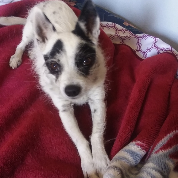 Rest In Peace - Picture 5 of 13